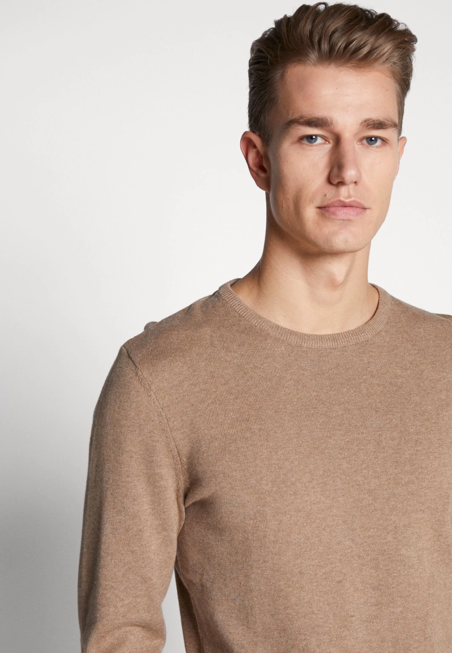 Basic Crewneck - Jumper - Mottled Beige